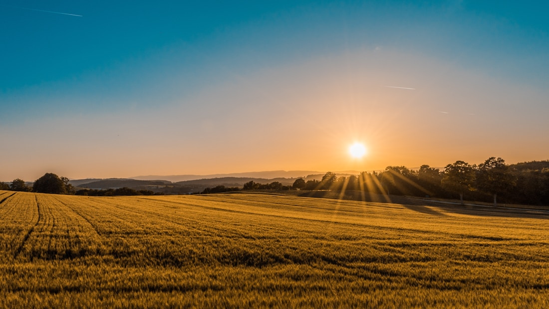 Open green countryside with rolling fields and mature trees